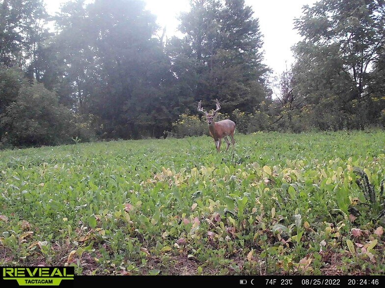 More Photos Of 7610 OH-309, Galion Land For Sale