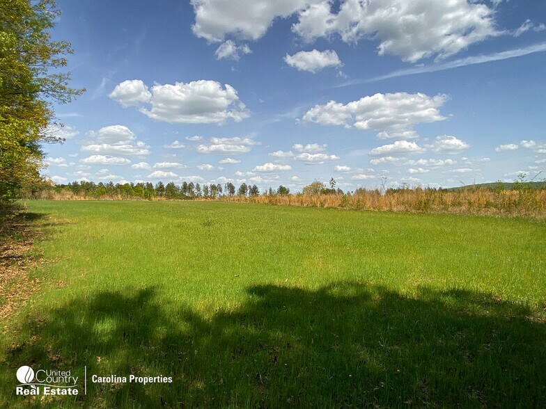 More Photos Of 1084 Stoney Pointe, Lexington Land For Sale