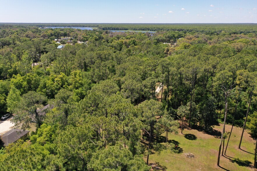 More Photos Of 638 Walnut St, Welaka Land For Sale