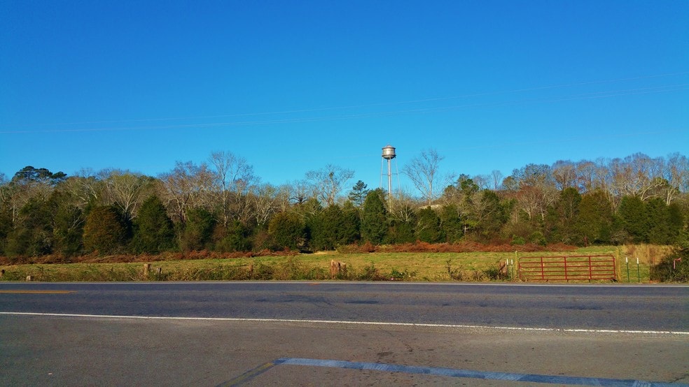 More Photos Of 42825 US 25, Vincent Land For Sale