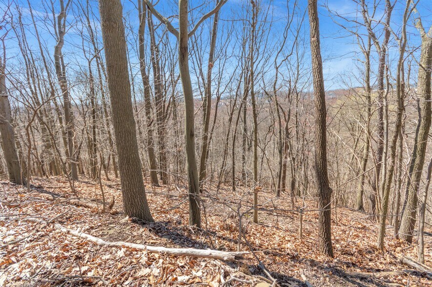 More Photos Of 0 Mt Nebo, Pittsburgh Land For Sale