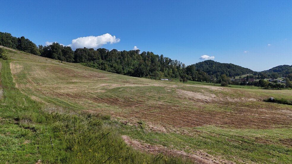 More Photos Of 195 Joe R McCrary Rd, Fall Branch Land For Sale