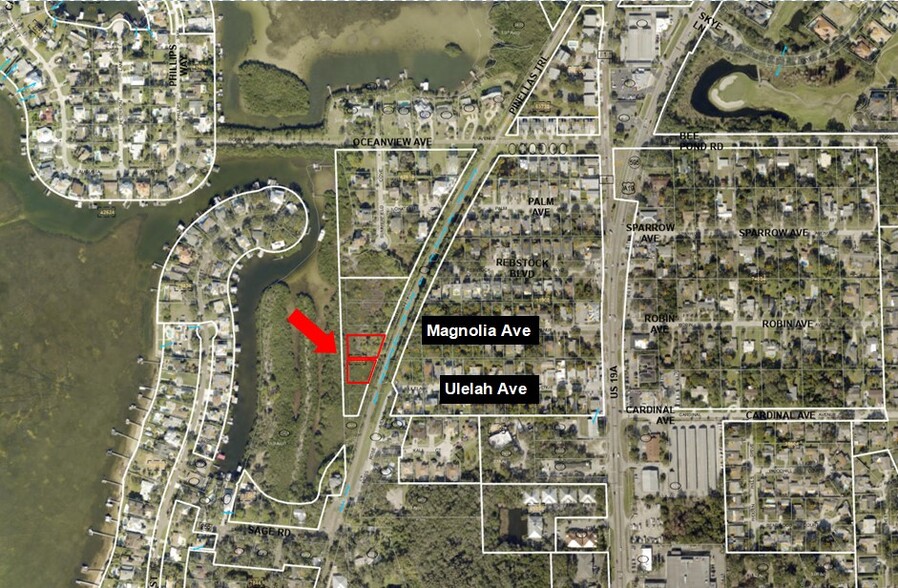 Primary Photo Of 00 Ulelah Ave, Palm Harbor Land For Sale