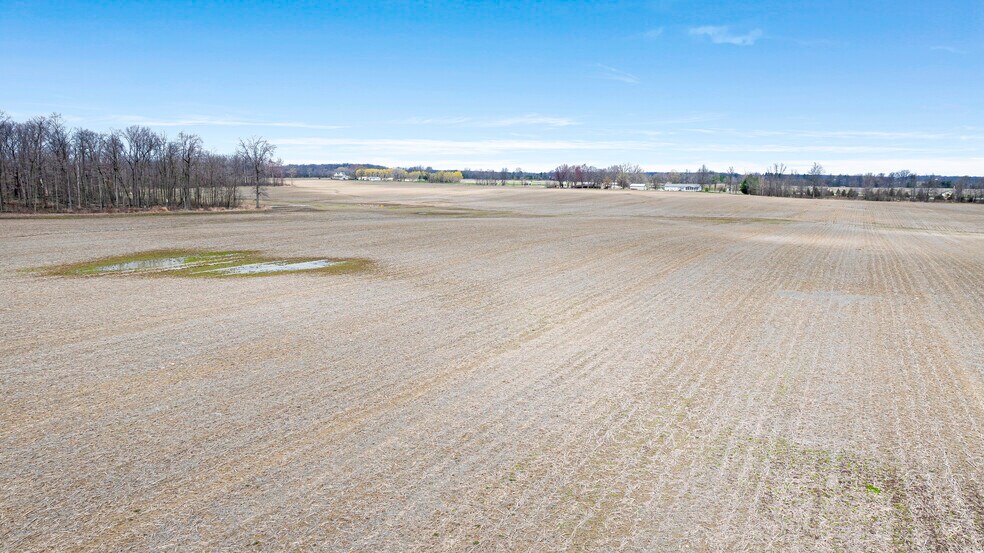 More Photos Of County Road 60 Rd @ County Road 56, Saint Joe Land For Sale