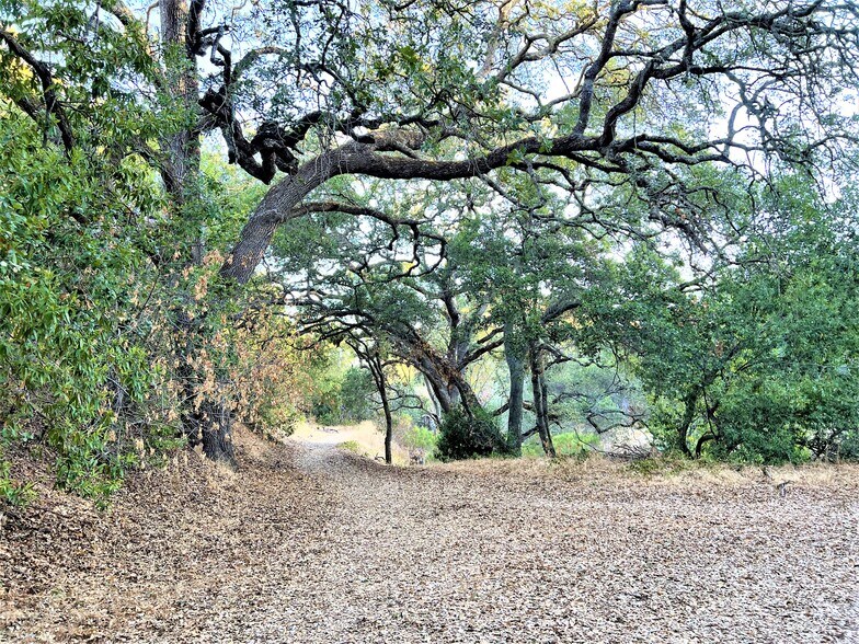 More Photos Of 2100 Woods Ln, Los Altos Land For Sale