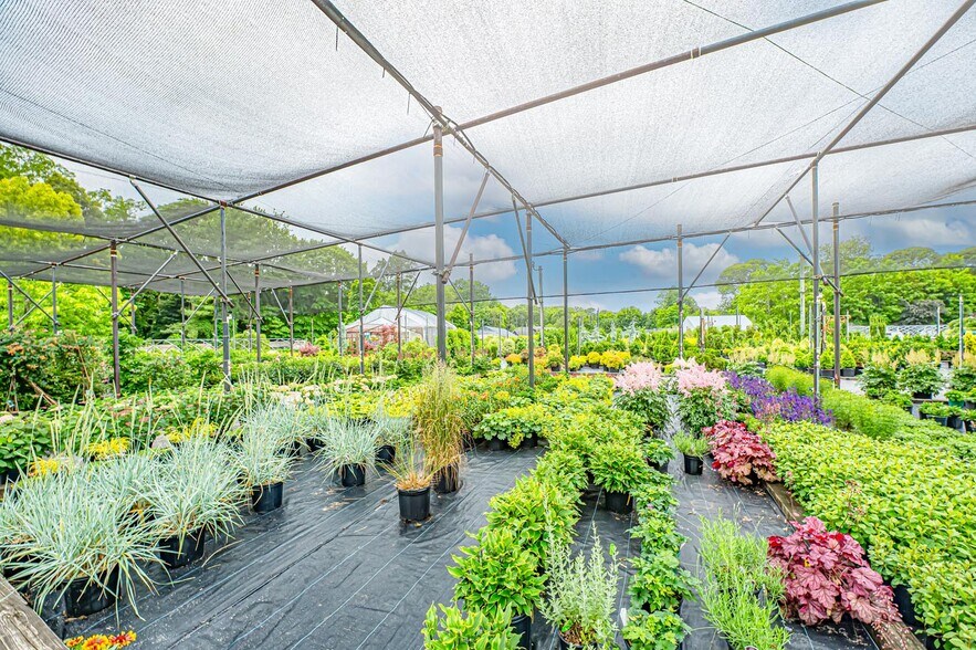 More Photos Of 185 N Country Rd, Mount Sinai Garden Center For Sale