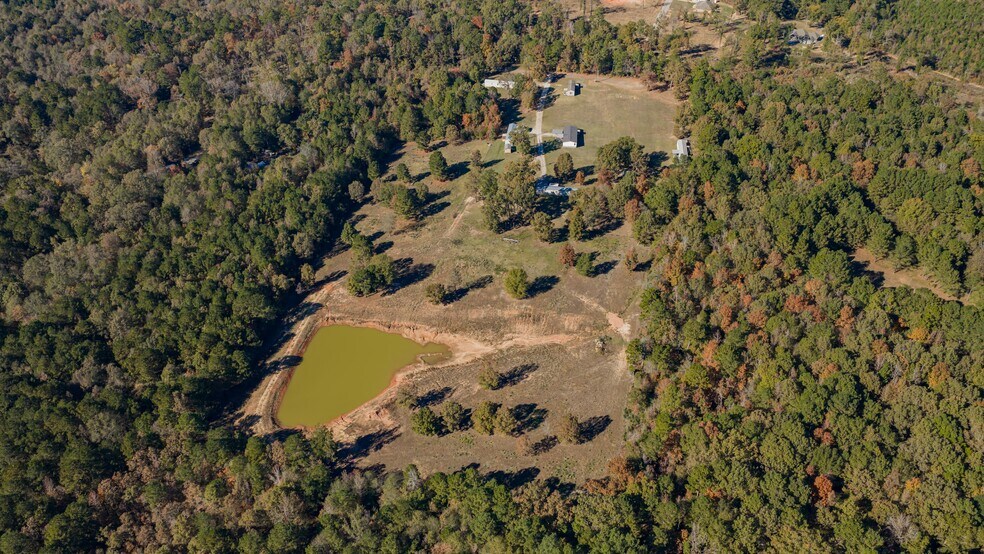 More Photos Of 12806 Wood Rd, Diana Land For Sale