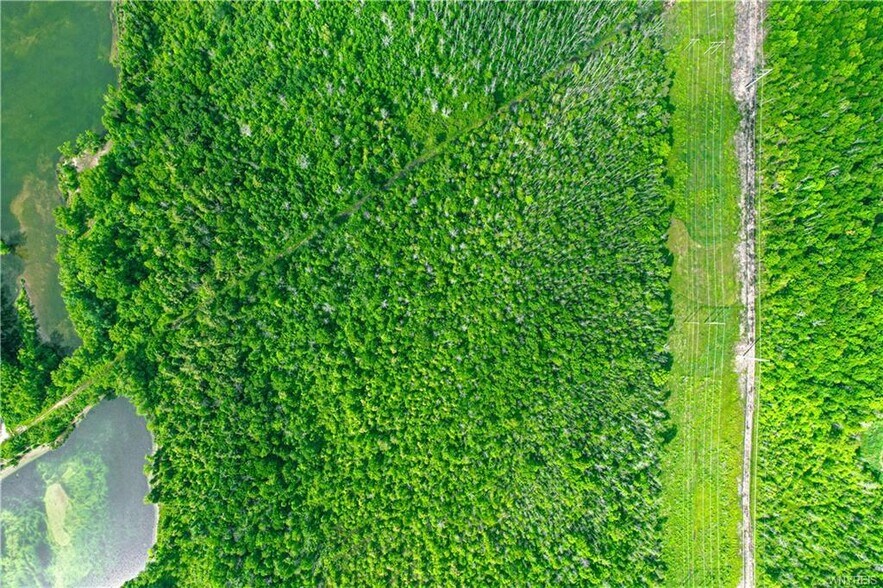 More Photos Of Genesee St @ Billo Rd, Alden Land For Sale