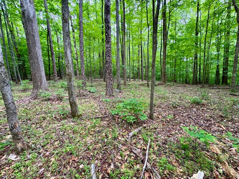 More Photos Of 1025 Dairyland Rd, Chapel Hill Land For Sale