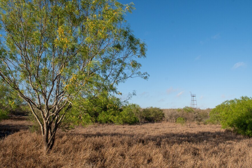 More Photos Of Las Brisas Road, Rio Grande City Land For Sale