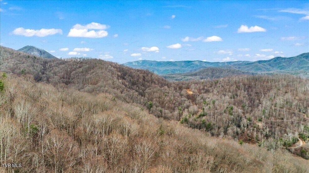 More Photos Of TBD Stockton Rd rd, Flag Pond Land For Sale