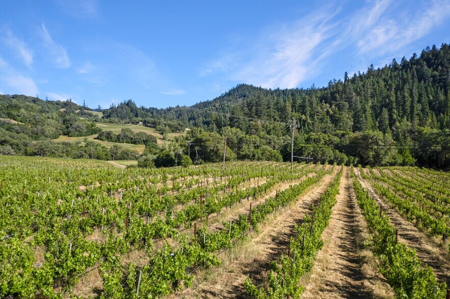 More Photos Of 20799 Highway 128, Yorkville Winery Vineyard For Sale