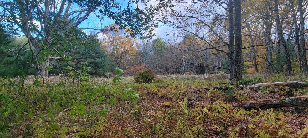 More Photos Of 1195 State Route 17B, Bethel Land For Sale