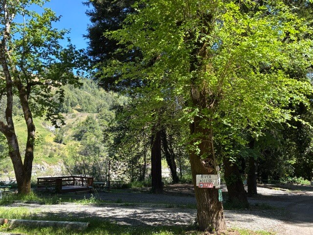 More Photos Of 4112 Redwood Dr, Redway Hotel For Sale