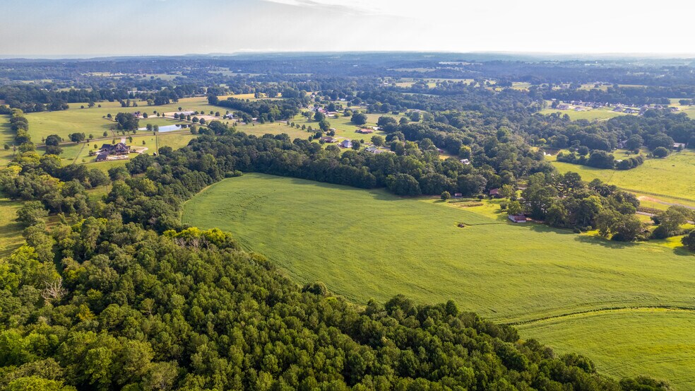 More Photos Of 1585 Railroad Ave, Albertville Land For Sale