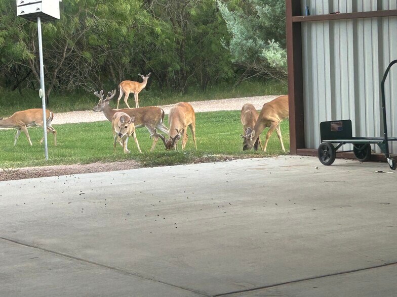 More Photos Of 1911 Wald Rd, New Braunfels Manufactured Housing Mobile Home Park For Sale