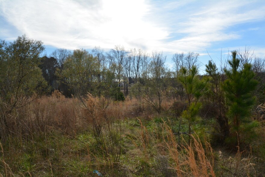 More Photos Of 1200 Granite Falls Blvd, Rolesville Land For Sale