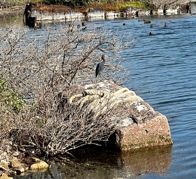 More Photos Of 1603 N State Highway 35, Aransas Pass Land For Sale