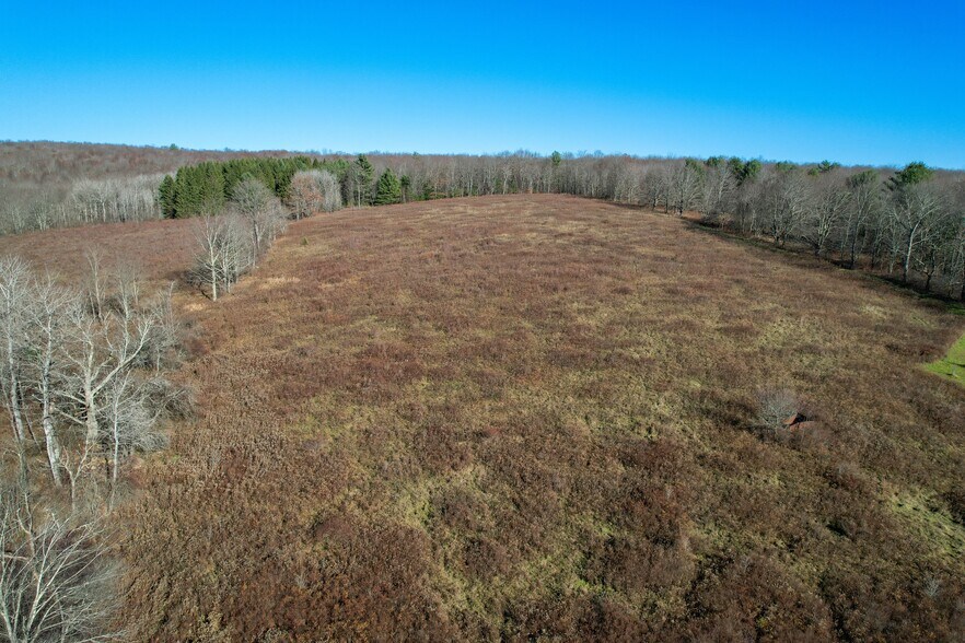 More Photos Of 263 Como Rd, Lake Como Specialty For Sale