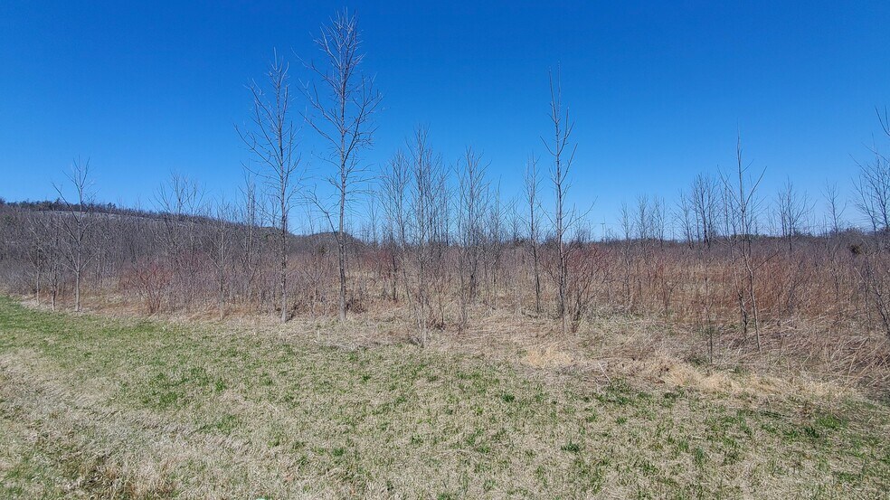 More Photos Of Lot 29 Lot 29 Old Plank Rd. Rd, Coxsackie Land For Sale