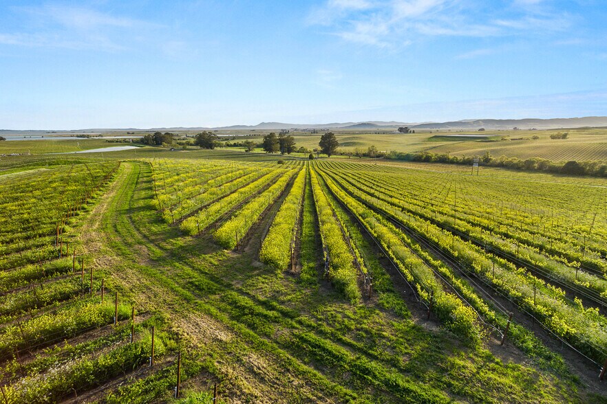 More Photos Of 2750 Las Amigas Rd, Napa Winery Vineyard For Sale