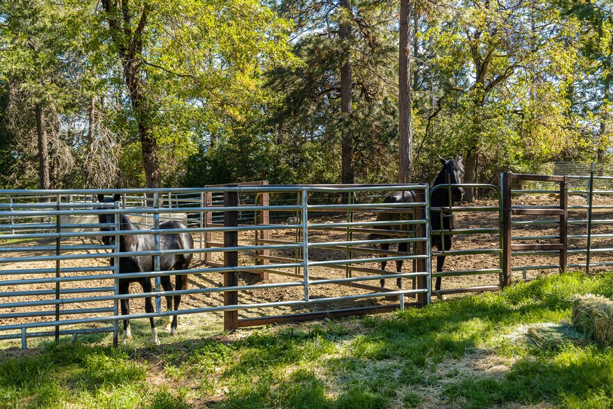 More Photos Of 35350 State Highway 36 E, Paynes Creek Land For Sale