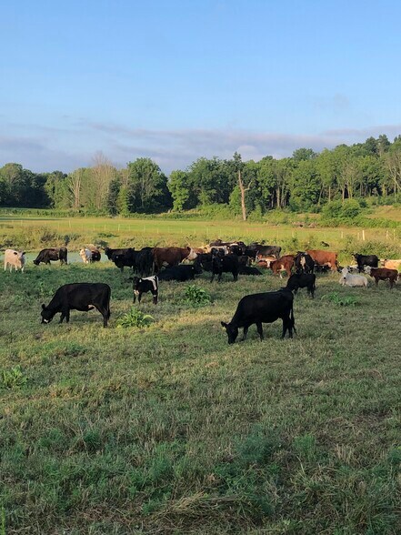 More Photos Of 65 Juliet Dr, Warwick Land For Sale