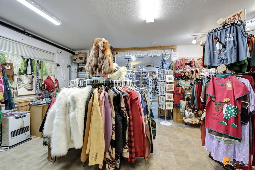More Photos Of 22336 Talkeetna Spur Rd, Talkeetna Storefront Retail Office For Sale