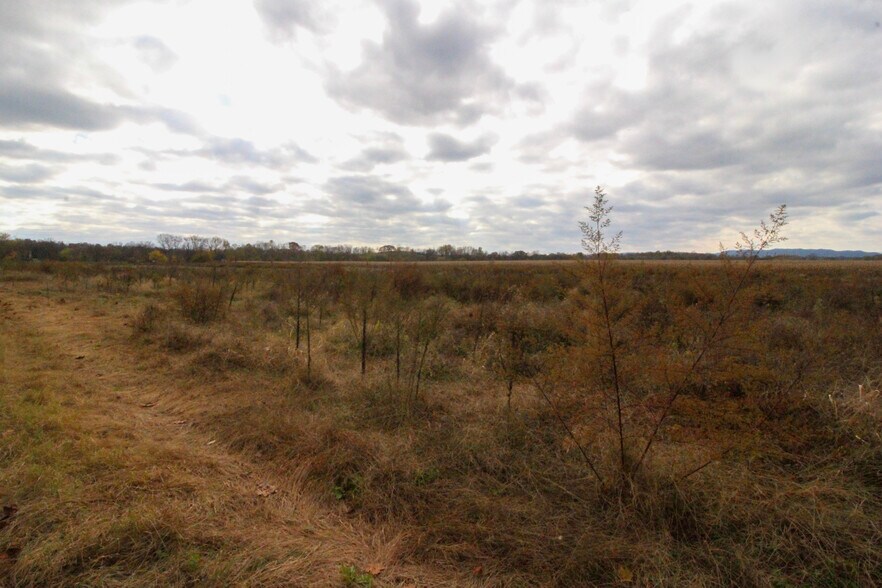 More Photos Of 16094 Evergreen Valley Rd, Timberville Specialty For Lease