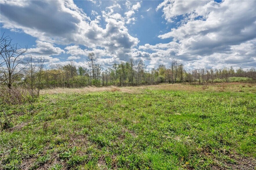 More Photos Of Liberty Ave, Vermilion Land For Sale