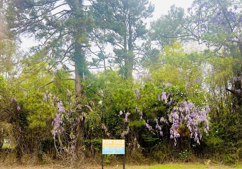 More Photos Of 2785 Saint Matthews Rd, Orangeburg Land For Sale