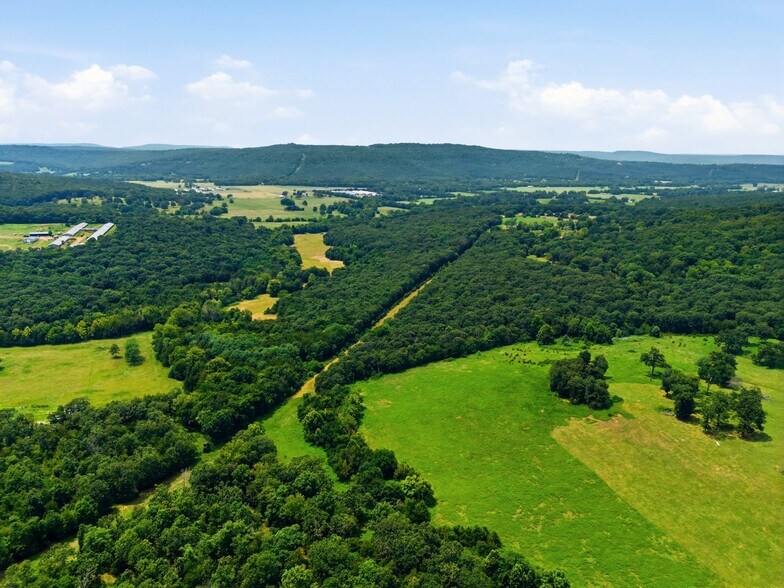 More Photos Of 11373 Colcleasure Rd, Fayetteville Land For Sale