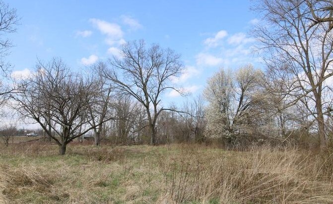 More Photos Of 310 Raleigh Extended St, Martinsburg Land For Sale