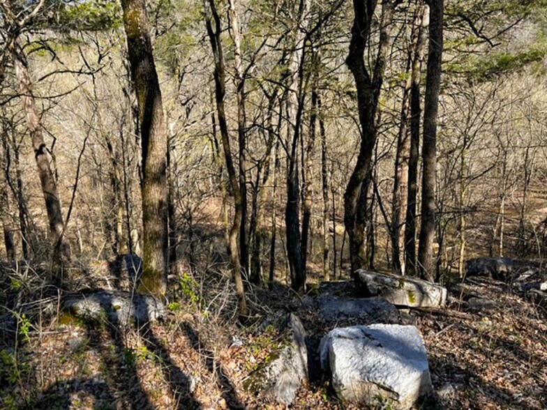 More Photos Of 4103 River Road, Guion Land For Sale