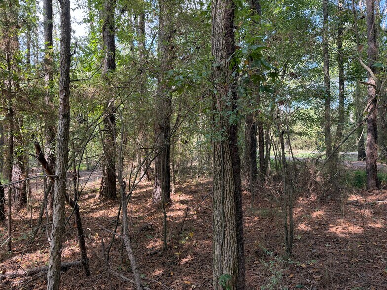 More Photos Of 107 Popham rd, Taylorsville Land For Sale