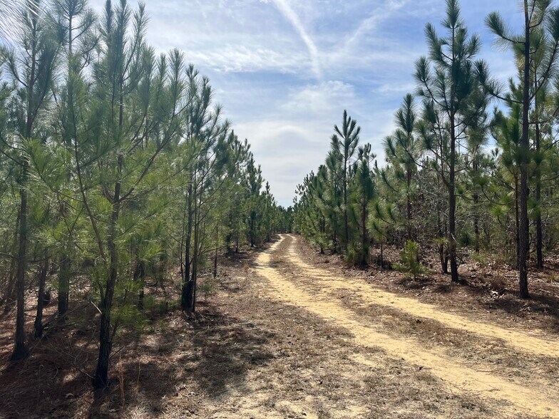 More Photos Of TBD US 15-501 Hwy, Pinehurst Land For Sale