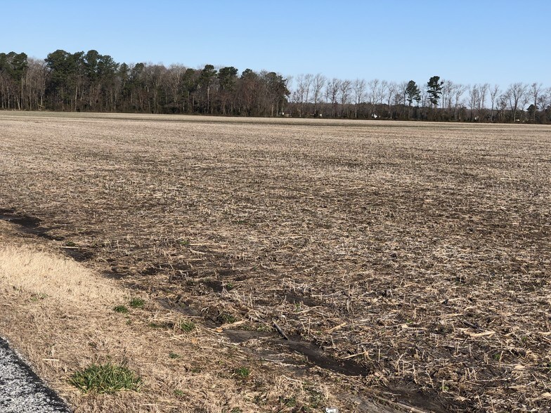 More Photos Of Route 113 & McCabe Rd, Selbyville Land For Sale