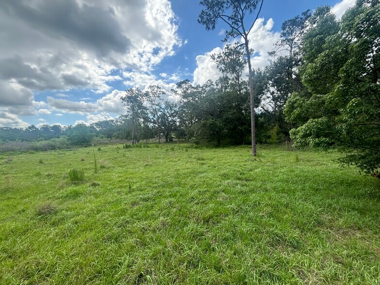 More Photos Of 28651 Tupper Rd, Wesley Chapel Land For Sale