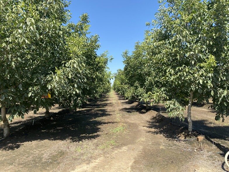 Primary Photo Of Road 180, Lindsay Land For Sale