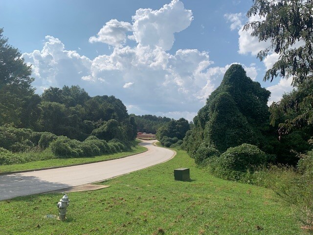 More Photos Of 0 Killearn Blvd, Stockbridge Land For Sale