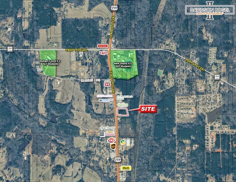 More Photos Of 1787 U.S. 259, Diana Land For Sale