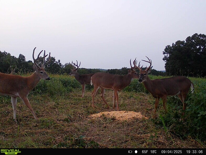 More Photos Of Highway D (77.2+/- Acres) Tract 1, Eolia Land For Sale