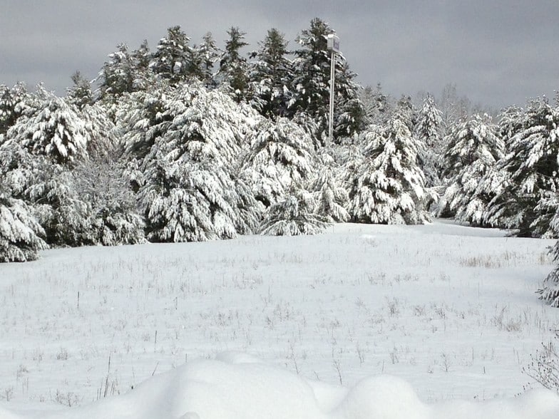 More Photos Of Route 8 & I-87, Chestertown Land For Sale