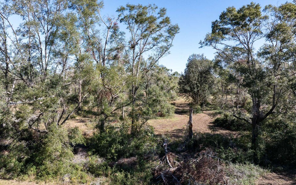 More Photos Of TBD Miller Street SE, Live Oak Land For Sale