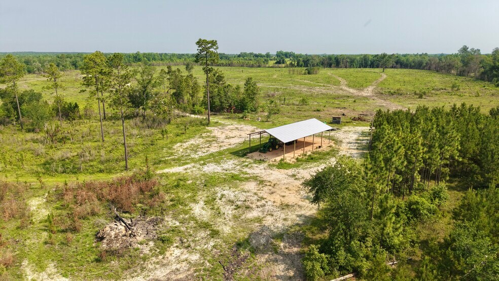 More Photos Of 17675 Cedar Springs Rd, Blakely Land For Sale