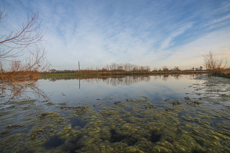 More Photos Of 573 FM 980 Rd, Huntsville Land For Sale