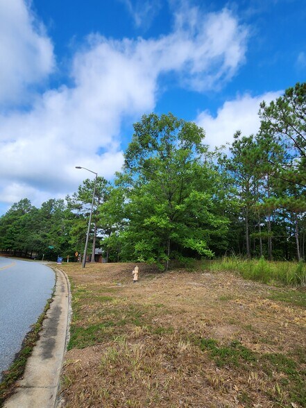More Photos Of 2503 Brookstone Centre Pky, Columbus Land For Sale