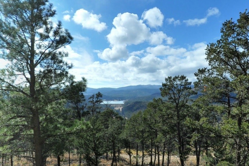 Primary Photo Of Bosque Vereda Rd @ Guenevere Avenue, Ruidoso Land For Sale