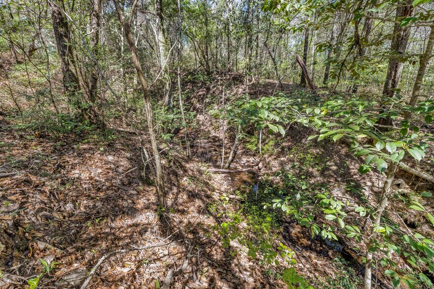 More Photos Of 7700 Iron Rush Rd, Wilmer Land For Sale