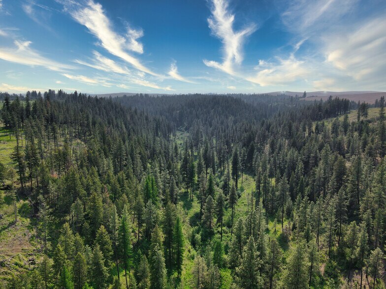 More Photos Of 45XXX Devore Rd, Davenport Land For Sale